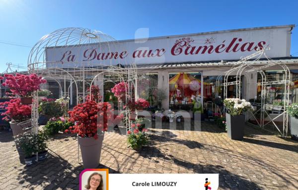 Murs Commerciaux de 239 m²