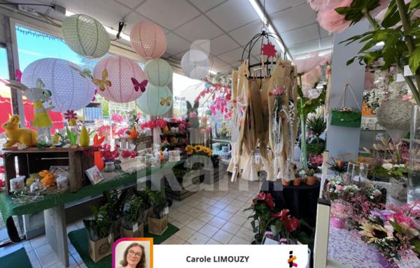 Murs Commerciaux de 239 m²