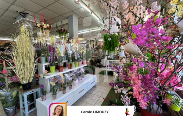 Murs Commerciaux de 239 m²