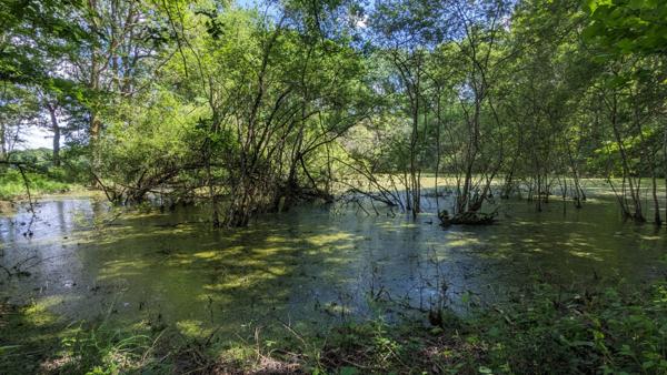 Terrain de loisirs - Usson Du Poitou - 45170 m2