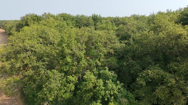 Terrain de loisirs - Usson Du Poitou - 45170 m2