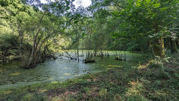 Terrain de loisirs - Usson Du Poitou - 45170 m2