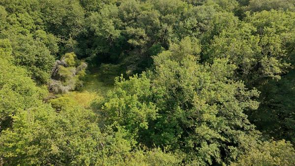Terrain de loisirs - Usson Du Poitou - 45170 m2