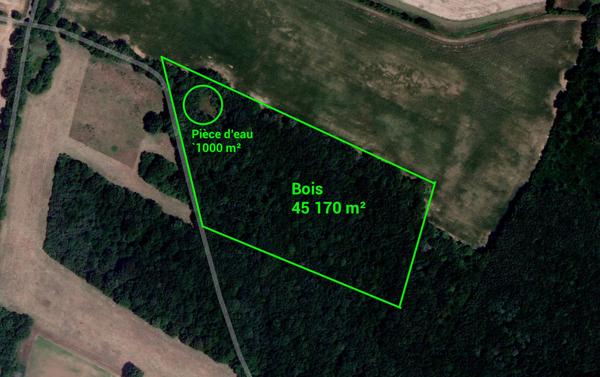 Terrain de loisirs - Usson Du Poitou - 45170 m2