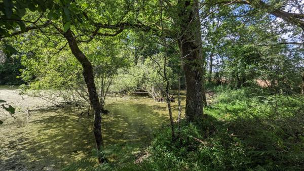 Terrain de loisirs - Usson Du Poitou - 45170 m2