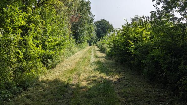 Terrain de loisirs - Usson Du Poitou - 45170 m2