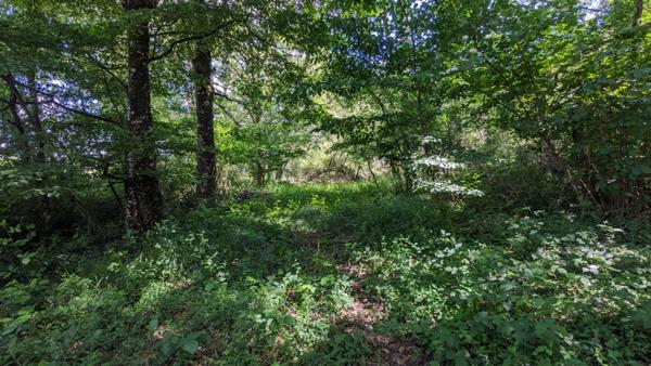 Terrain de loisirs - Usson Du Poitou - 45170 m2