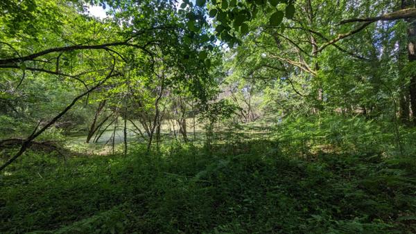Terrain de loisirs - Usson Du Poitou - 45170 m2
