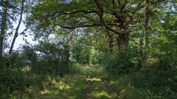 Terrain de loisirs - Usson Du Poitou - 45170 m2