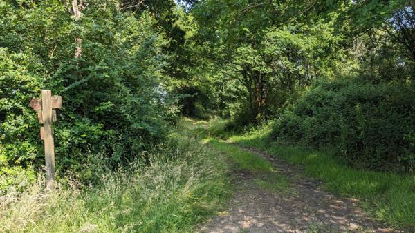 Terrain de loisirs - Usson Du Poitou - 45170 m2