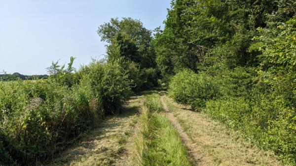 Terrain de loisirs - Usson Du Poitou - 45170 m2