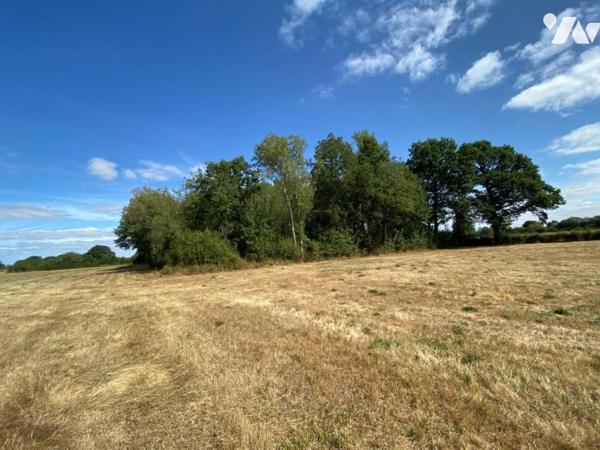 Terrains Agricoles