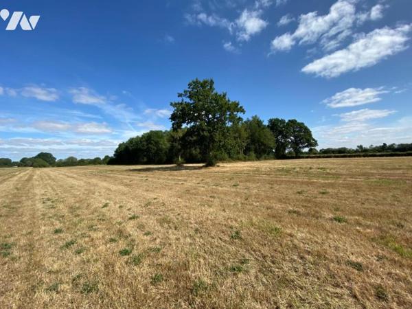 Terrains Agricoles