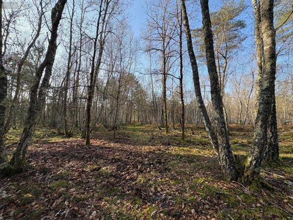 Propriete à vendre à Nançay dans le Cher (18330), ref : 044/1994
