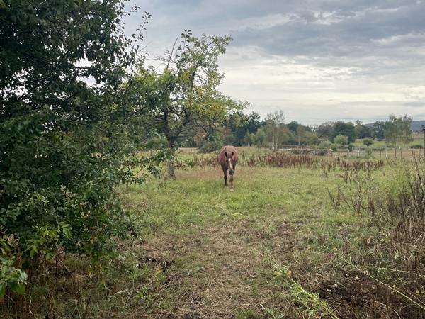 Corps de ferme