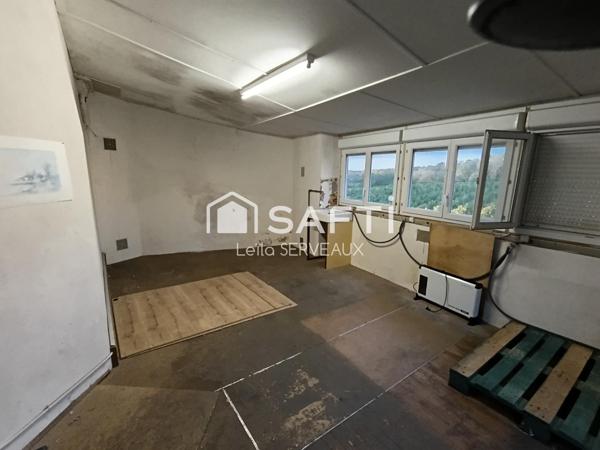 Ensemble de 2 maisons habitables de suite