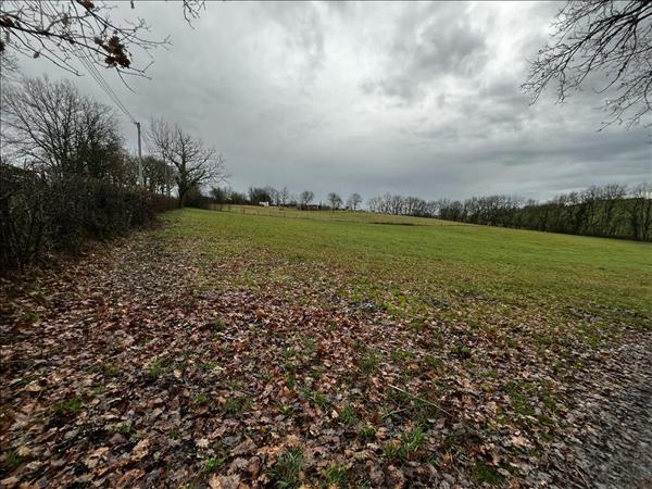 Terrain à vendre |  Caylus |  2500 m²