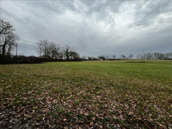 Terrain à vendre |  Caylus |  2500 m²