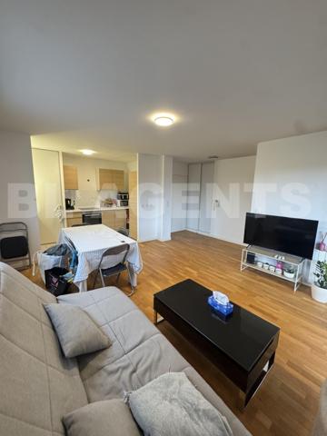 CHARMANT APPARTEMENT DE 51 M2 BORD DE MARNE