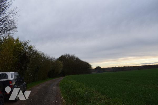 Maison plus gite situés à MONTJEAN proche de RUFFEC et VILLEFAGNAN