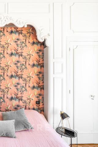 Magnifique appartement bourgeois - Lyon 6ème