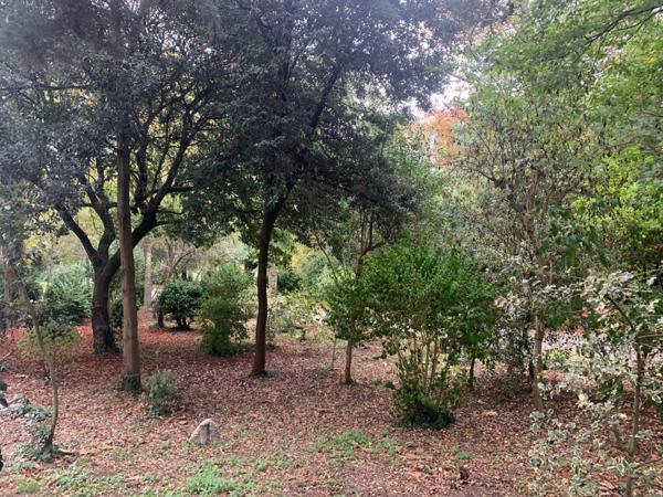 Appartement 2 pièces Quartier La Genette La Rochelle