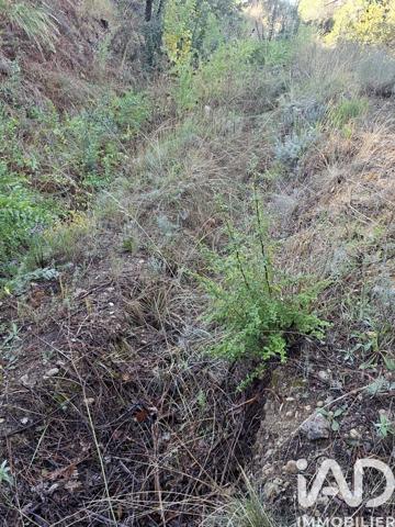 Terrain à vendre 1 031 m² Colomars