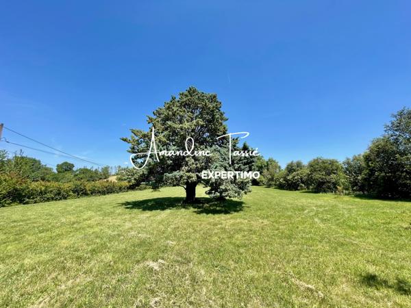 Cestayrols (81150) Propriété de caractère au coeur du triangle d'or