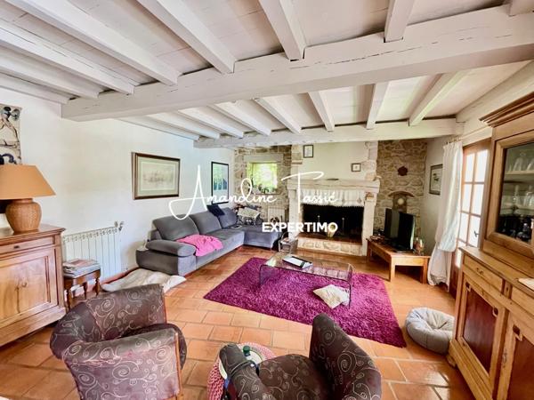 Cestayrols (81150) Propriété de caractère au coeur du triangle d'or