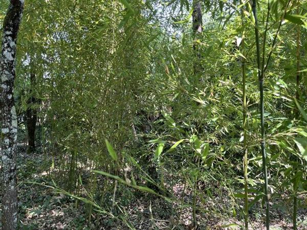 Terrain à vendre 226 800 € Martignas-sur-Jalle 810 m² DPE