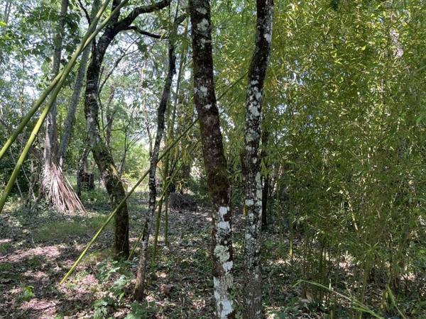 Terrain à vendre 226 800 € Martignas-sur-Jalle 810 m² DPE