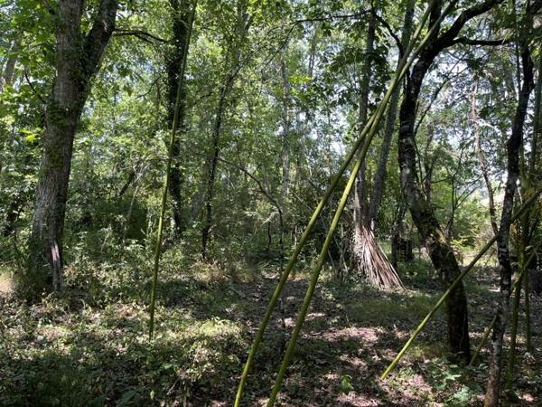 Terrain à vendre 226 800 € Martignas-sur-Jalle 810 m² DPE
