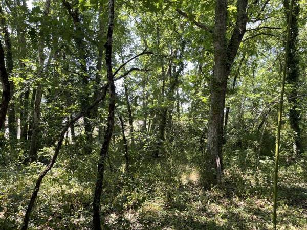 Terrain à vendre 226 800 € Martignas-sur-Jalle 810 m² DPE