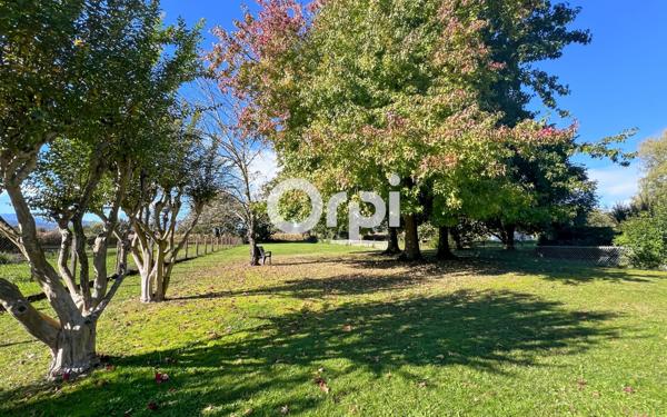 Terrain à vendre    Oloron-Sainte-Marie