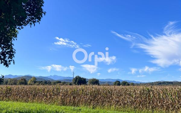 Terrain à vendre    Oloron-Sainte-Marie