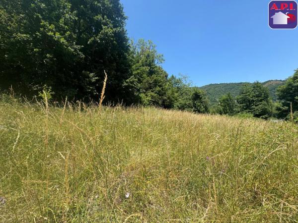 Achat vente Terrain Saurat
