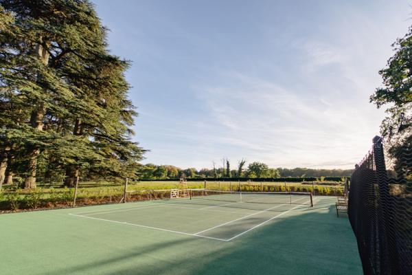 Vente Château Curzay-sur-Vonne 80 Pièces 3400 m²