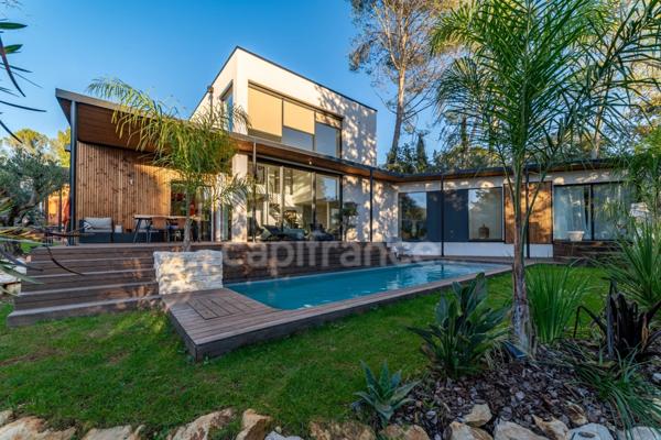 Rare sur Saint Gély du Fesc