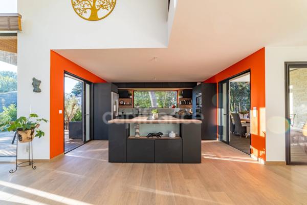 Rare sur Saint Gély du Fesc