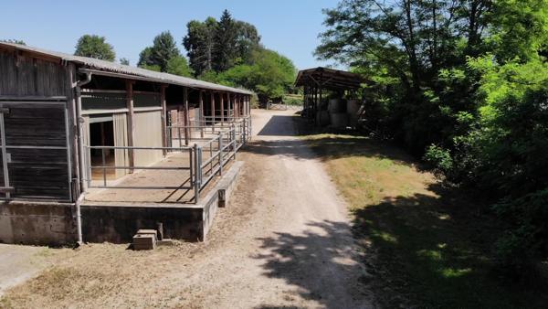 Local Commercial - 115940 m²