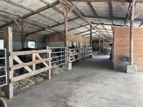 Local Commercial - 115940 m²