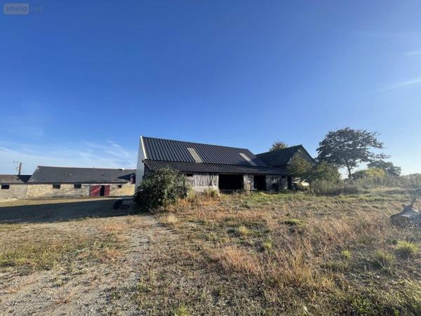 Maison à vendre à Balazé en Ille-et-Vilaine (35500), ref : 35117/859