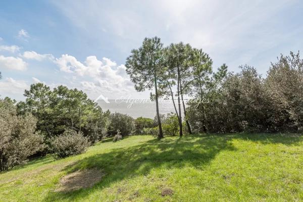 Villa d’exception face à l’océan – Saint-Georges-de-Didonne