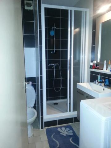 Appartement à louer à Oyonnax (01100)