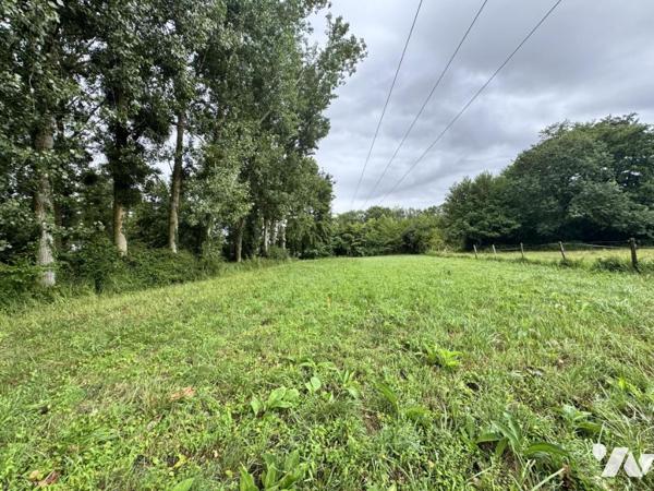 Terrains de loisirs en bord de Loir - AREINES