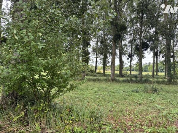 Terrains de loisirs en bord de Loir - AREINES