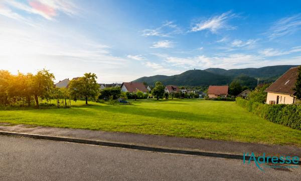 Terrain Zimmerbach 3334 m2