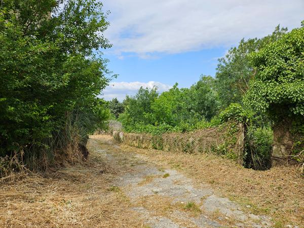 Partie de domaine sur 1.3 ha à Pennautier Pennautier