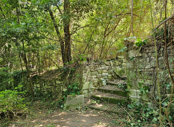 Partie de domaine sur 1.3 ha à Pennautier Pennautier