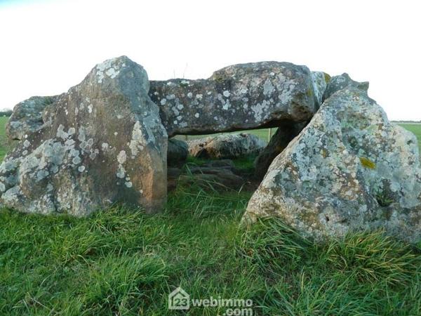 Terrain à bâtir 3261 m² à Saint-Vincent-sur-Jard 85520
